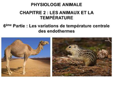 LICENCE DE BIOLOGIE Chapitre 2 – Les animaux et la température 6ème Partie : Les variations de température centrale des endothermes