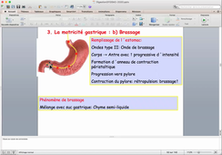 UE-AppareilDigestif-CM3-Matecki-Complement