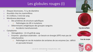 PASS_UE3_DE-VOS_20261015.m4v