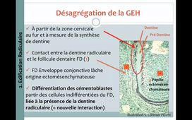 S2UE9_Moulis_1_10032021