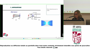 UE7-Wisnievski_18-02-2026