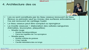 Etude générale des os, des articulations et des muscles - Partie 2