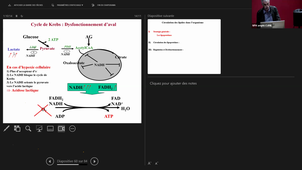 DFGSM - Cristol - Nutrition bases fondamentales - 19/10/2026