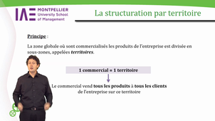 Structurer la Force de Vente.