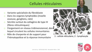 PASS UE3 ECUE3.1 - Pr.De Vos - Histologie Générale -26/09/2025