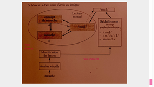 M1-FADH-UE202.1-CM-LECTURE