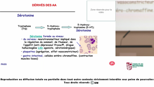 UE1_LEHMANN_20260914-055819Z_S1R1.m4v