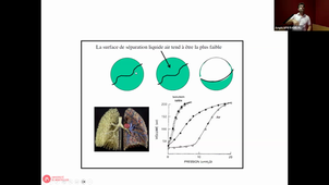 DFGSM3 - CM3 - Anatomie - Appareil respiratoire - Pr Maurice HAYOT -  05-09-2023.mp4