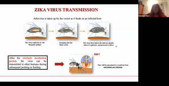 TU06- ZIKA VIRUS - Dorothée Missé - 30-01-2026.mp4