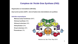 DFGSM2 - Métabolisme des lipides PT.2 - Badiou - 30/09/2026