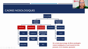 video Fièvre Prolongée.mp4