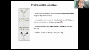 DFGSM2-L.Guglielmi-TS-Immuno-CM7-CM9