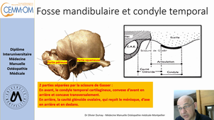 Anatomie ATM