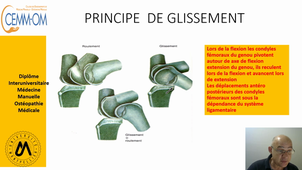 Mobilisations articulaire assistée du genou