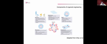 Cardiomyocytes dérivés d'iPS  modellisation et thérapie cellulaire_Albano MELI