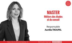 Master Métiers des études et du conseil