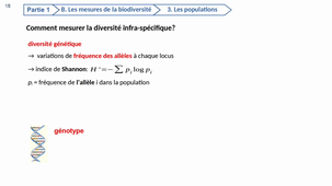 HLBE304-Cours 2