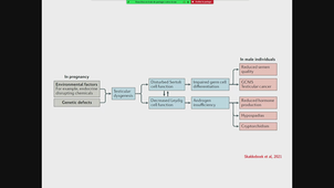 19/09/2022	11h	12h	Reproduction Fertilité Embryologie - CM9	Pr HAMAMAH Samir	Amphi Anatomie	DFGSM2			A enregistrer pour Nîmes