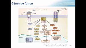 27012021j3-2-DIU Diagnostic de précision part 2