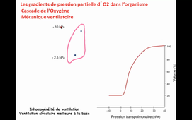UE-HMBS124-master 1 Biologie Santé-Matecki-Cours2