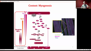 httpsvideo.umontpellier.frvideo19362-bioproduction-de-lymphocytes-cytotoxiques-viro-specifiques-pour-une-immunotherapie_daniele-bensoussan_Stefan MATECKI