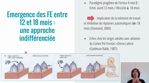 Développement des fonctions exécutives – M. MURCIA, Neuropsychologue