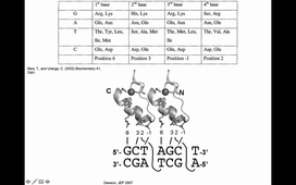 HLBI601_CM6_TFandEnhancers