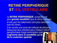 Generalite_Theorie_Posture vision rachis_Malafosse_2020