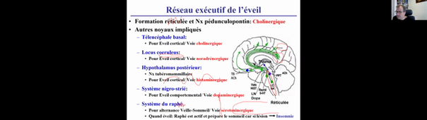 13-02-25-DFGSM2-Appareil neurosensoriel-Y Dauvilliers-partie 1.mp4