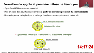 DFGSM2CM 7 - Reproduction Fertilité Embryologie Dr Fatima BARRY 31/10/2023