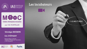 MOOC IAE - Les Incubateurs (Vidéo 2-6)