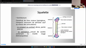DFGSM2 - Introduction à l'anatomie : Anatomie générale - Martha Duraes - 02/09/2026