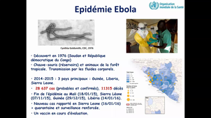 Cours 1 virologie L1
