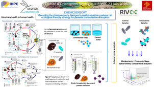 Projet Chemosensory et  Questions.mp4