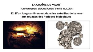 12. La Chaîne du Vivant - Chroniques Biologiques d’Yves Muller - D’un long confinement dans les entrailles de la terre aux rouages des horloges biologiques