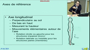 Etude générale des os, des articulations et des muscles - Partie 1