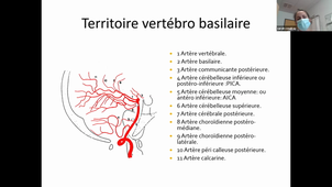 02-03-2021-DFGSM2-S-COUDRAY-SYST-NEURO-CM3