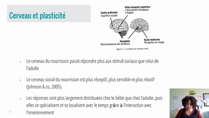 Exemple de prise en charge précoce : DENVER – V. GRANIT, Orthophoniste