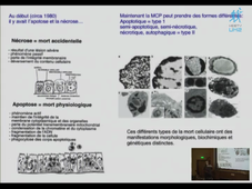 Master Biologie Santé – 22 octobre 2010 – Ula Hibner -