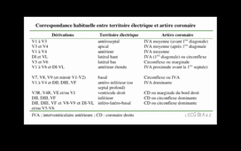 12-11-2020-DFGSM2-SYSteme cardiovasculaire-CM25