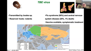 TU15- Ticks and tick-borne diseases - Pr S. BONNET - 16-03-2026.mp4