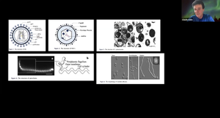 NUTRITION ET SEXUALITE - Dr DALLE.mp4