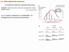 AgregBiolCompAG2