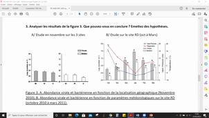 TD2 L2 viro 31 mars ok