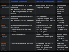 Lésions musculo-tendineuses post-traumatiques