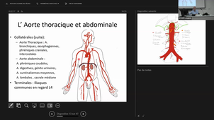 07-10-24-DFGSM3-Appareil cardio-CM1-M Prudhomme.mp4