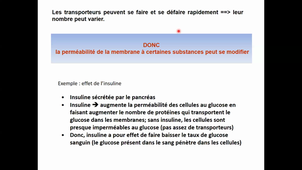 HLBI406_Transferts membranaires_CM2 diapo 31 à 75