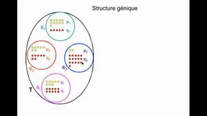 Agreg interne : évolution partie II B- Mécanismes de l'évolution : caractérisation de la composition des populations