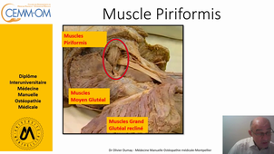 EL EPI Pelvi Gluteaux