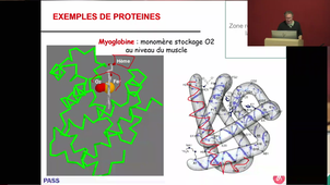 S1_ECUE1-2-Biochimie_Lehmann_20240923